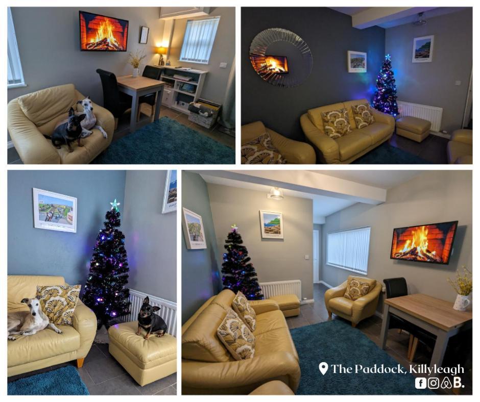 The Paddock Apartment Killyleagh Exterior foto