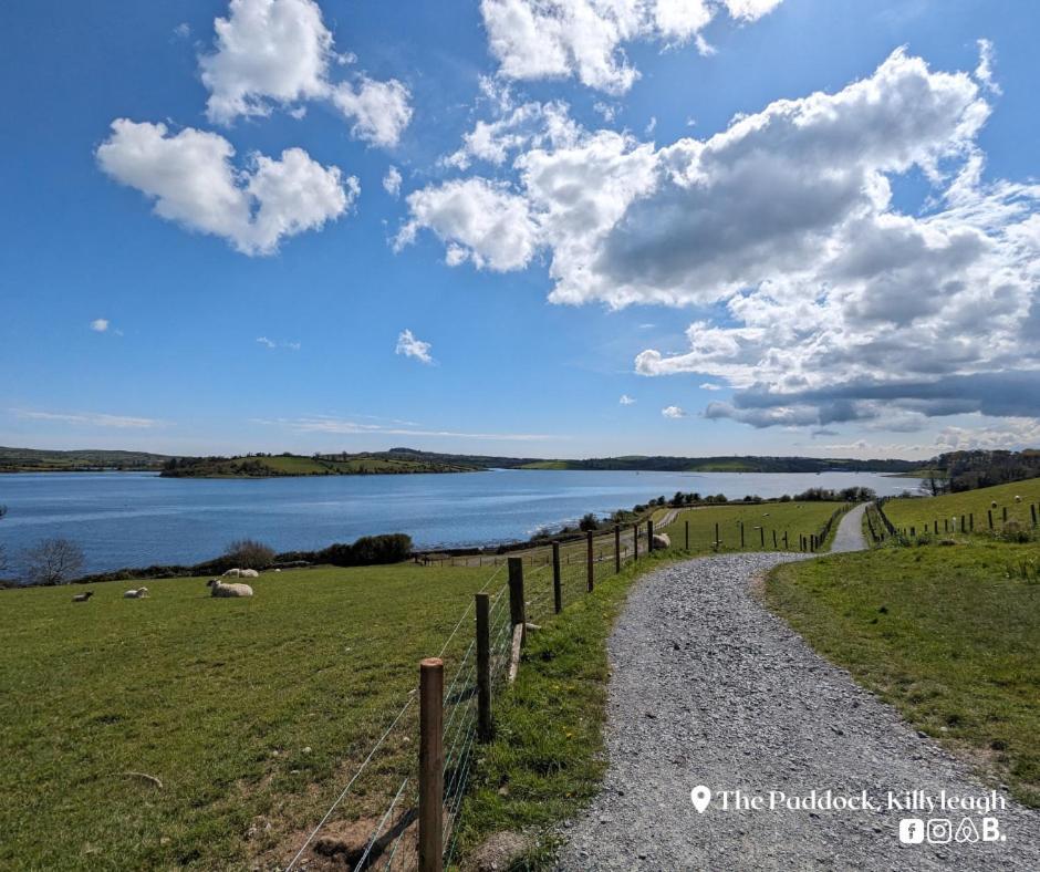 The Paddock Apartment Killyleagh Exterior foto