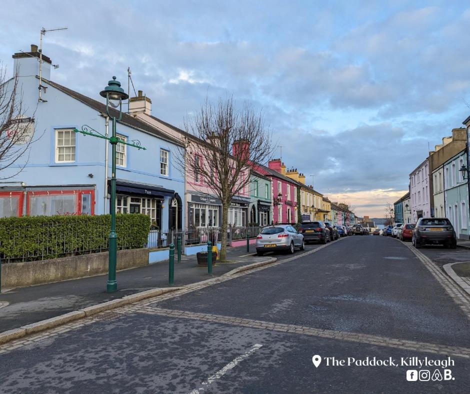 The Paddock Apartment Killyleagh Exterior foto